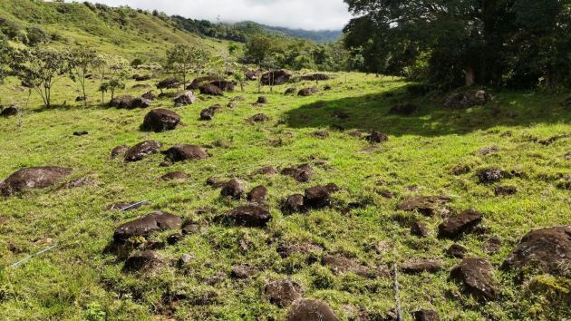 Finca en Santa Elena de El General, Pérez Zeledón – 2 ...