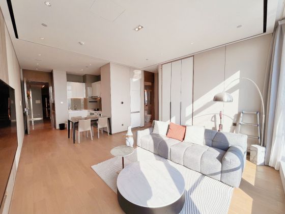 Wow!!! IFS apartment Rent in Suzhou /1 room,1 bath/ modern style /lots of ...