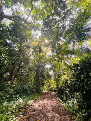 Land For Sale In Galle - Imaduwa With Sea View