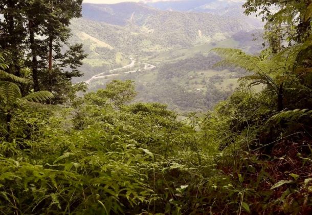 99 hectáreas - ¡Propiedad ecológica en venta en Costa ...