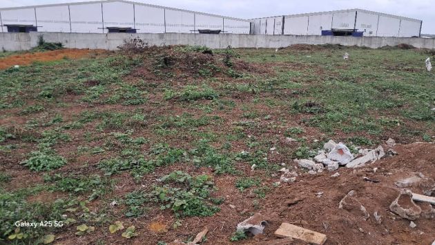  PK 22 NON LOIN DE COCA COLA vente 6000m2 clôturé 