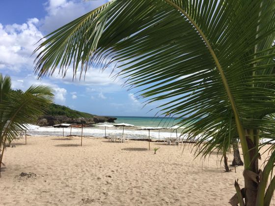 BUILDING LAND IN THE DOMINICAN REPUBLIC