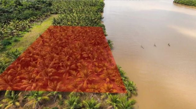 Terrains disponibles pied dans l'eau à Assinie en face de ...