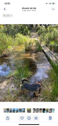 Elegant room for rent in an exclusive countryside estate-Comporta region ...