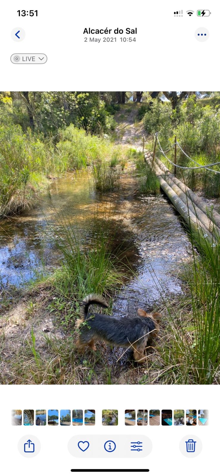 Elegant room for rent in an exclusive countryside estate-Comporta region Portugal