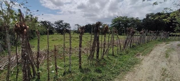 Land for sale. This is your great opportunity to invest.