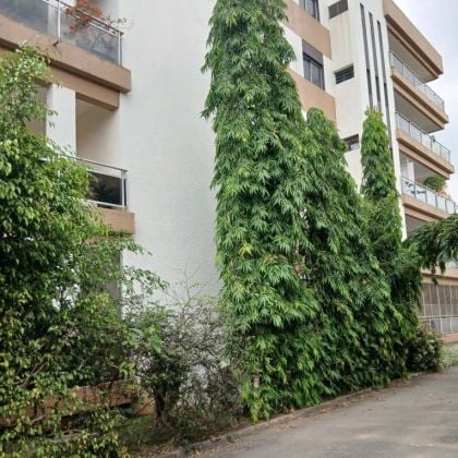 APARTMENT FOR RENT IN COCODY DANGA