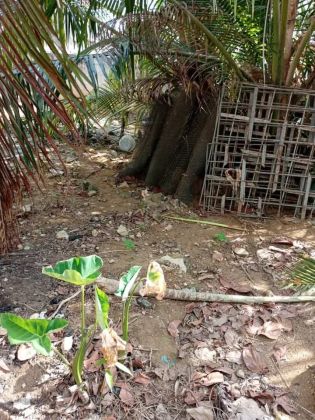 Sale of land in Riviera Bonoumin, not far from Abidjan MALL 