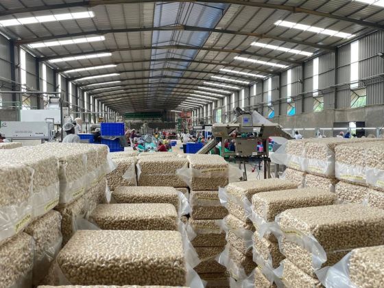 SIKENSI VENTE D'UNE USINE DE TRANSFORMATION D'ANACARDE