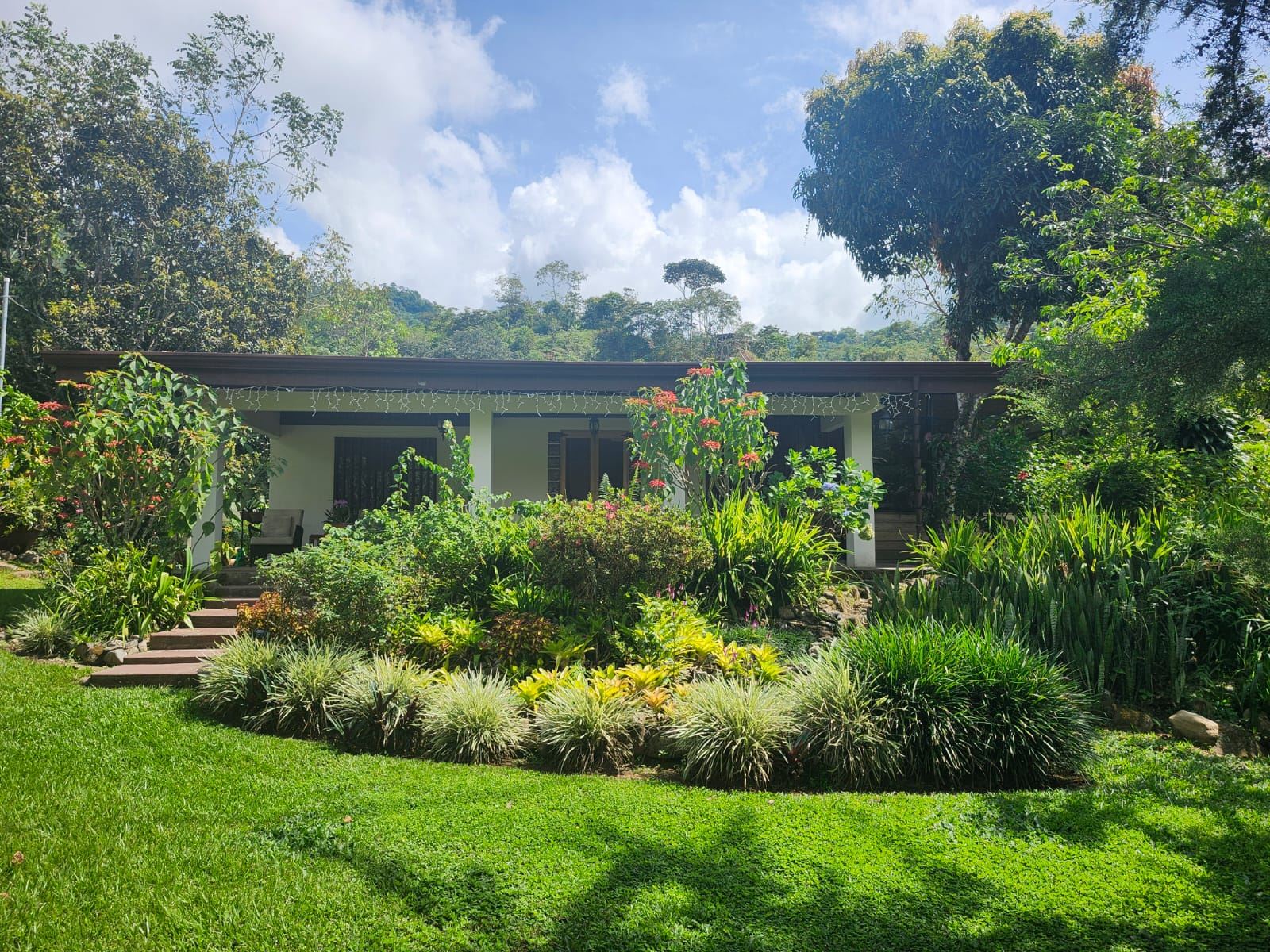 Hermosa casa con casa de huéspedes en el corazón de Pueblo Nuevo. 