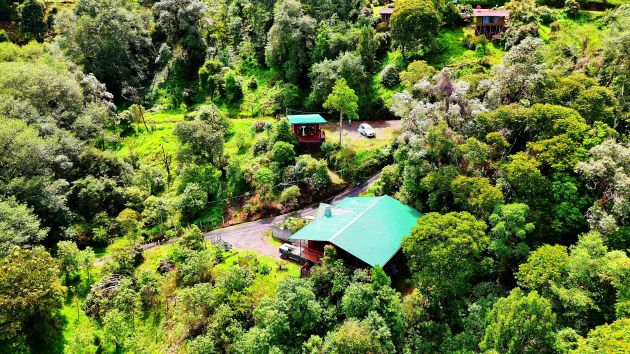 Lujo y naturaleza combinados: Explore esta impresionante finca de Copey