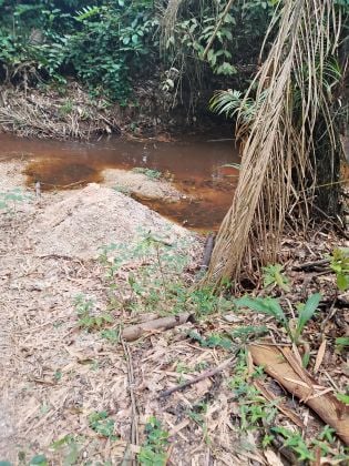 Parcelle 07 hectares avec cours d'eau à Abié