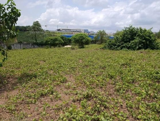 AUTOROUTE DU NORD PK22 vente 4hectares ( 4ha)