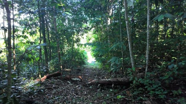 Stunning Land of 6,545 M² For Sale In Peñas Blancas, ...