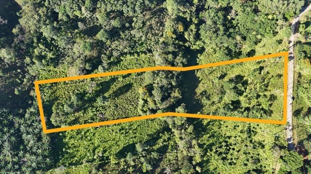 Unique 1.9-Hectare Sustainable Farm For Sale: Breathtaking Views And ...