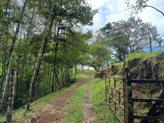 Finca de 106 hectáreas con abundancia natural y vistas inigualables ...