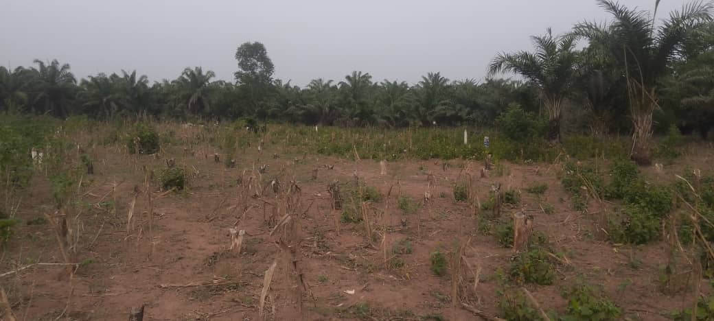 PLOT WITH TF ABOMEY-CALAVI