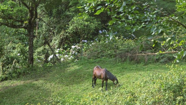 Hermosa finca, increíble escapada en Cerro Buena Vista: clima ...
