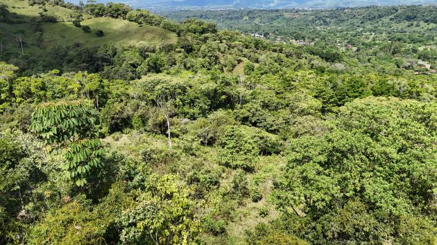 Adquiera 3,8 hectáreas de paraíso virgen junto a ...