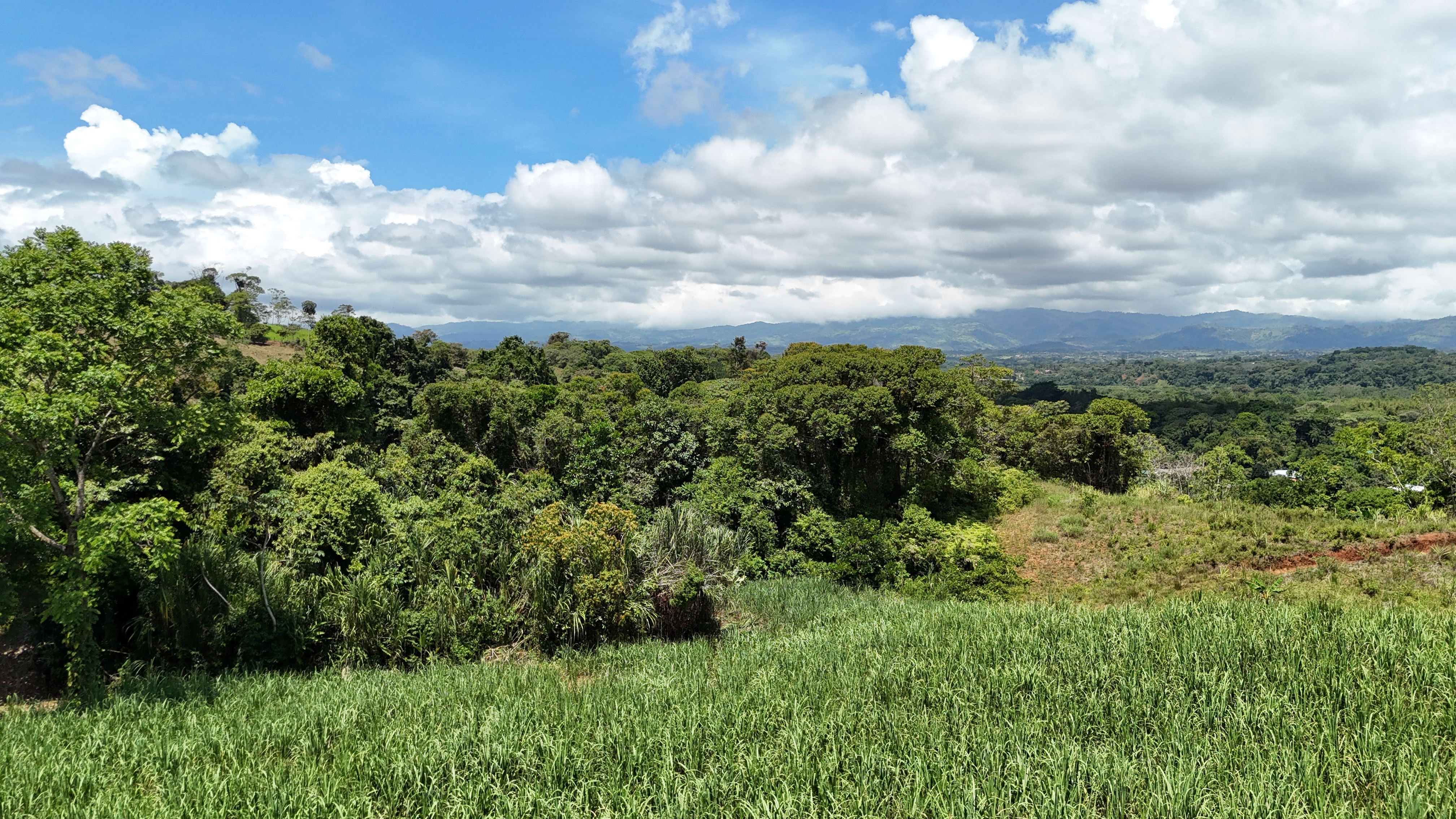 Encantadora finca de caña en General Viejo: vistas panorámicas, arroyo abundante y tierra fértil para una vida visionaria o un asombroso desarrollo ecológico.