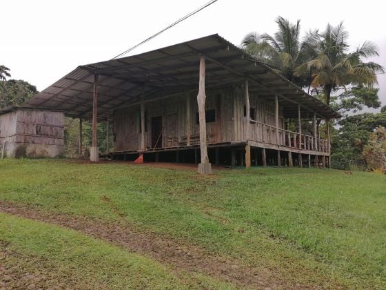 Farm with hotel in Costa Rica