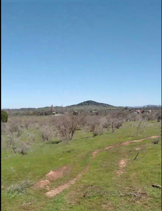 "5 Hectares in Maule, Chile – Rolling Land, Legal Plots, and ...