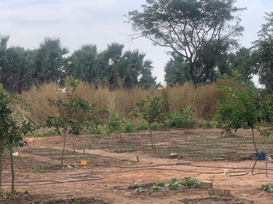 Spacious 80m x 200m Land for Sale in Sanyang – Ideal for Home or Investment | GMD 5.8M