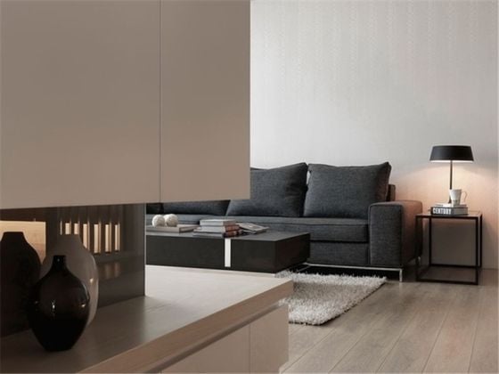 SIP/JinjiLake/IFS/Time Square/Metro Line 1/Prime Location