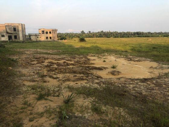 Terrain de 500 m² à vendre – SAD Bwang Bakoko (Yassa / ...