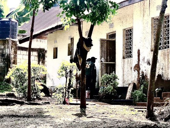 Maison à louer dans un bidonville 