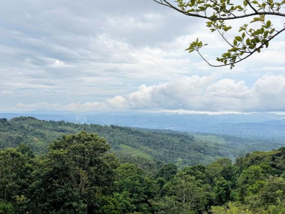 LOTE DE ENSUEÑO EN SAN BLAS, PÉREZ ZELEDÓN