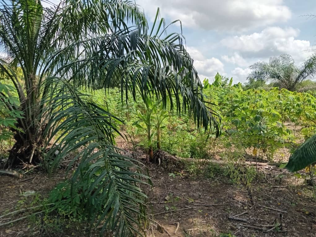 TERRENO EN VENTA EN ZONA RESIDENCIAL