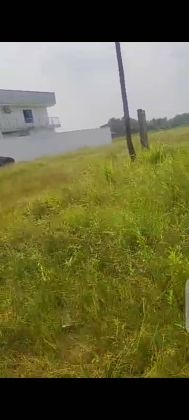 Terrain à vendre à Douala Bonamoussadi-Denver