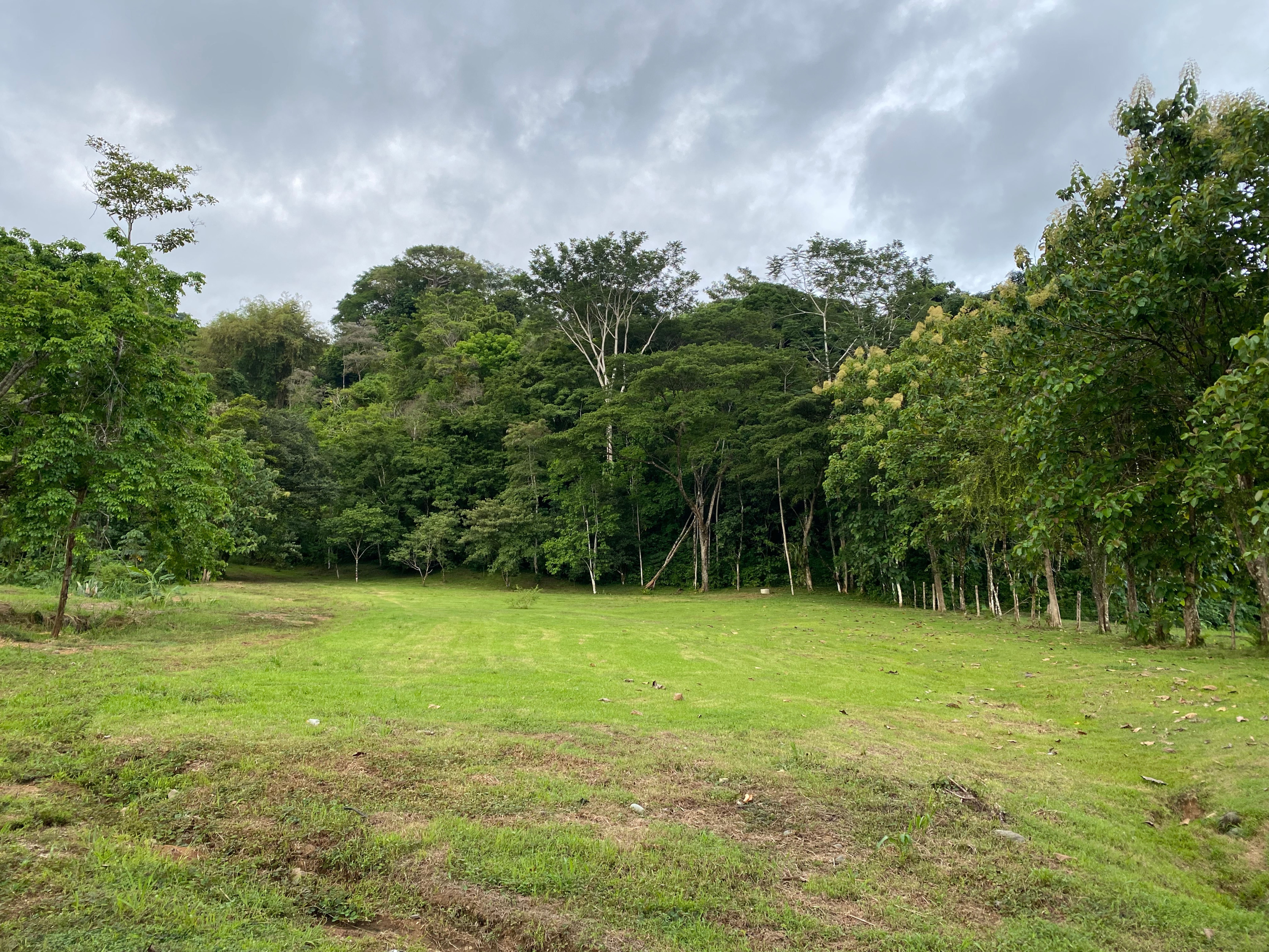 Lot for Sale with 50% Seller Financing