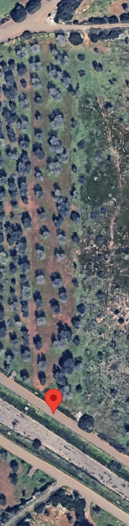 Terrain à vendre à Strada Statale 7 ter Salentina, km 35