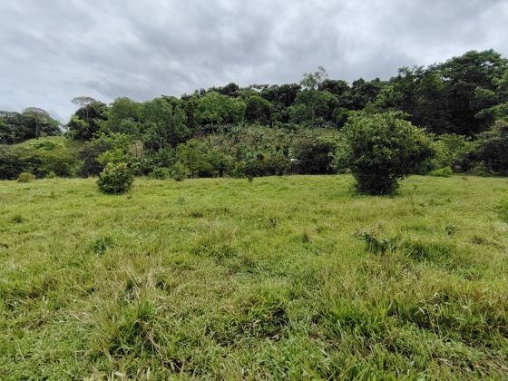 Propiedad con gran vista al Chirripó – Terreno plano de 1 ha ...