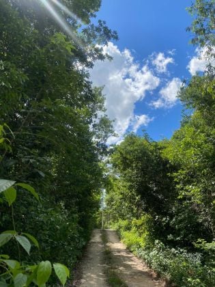 Terreno en Venta en Puerto Morelos – 4,523 m² con Potencial de ...