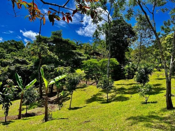 VENTA HERMOSO TERRENO EN PURISCAL