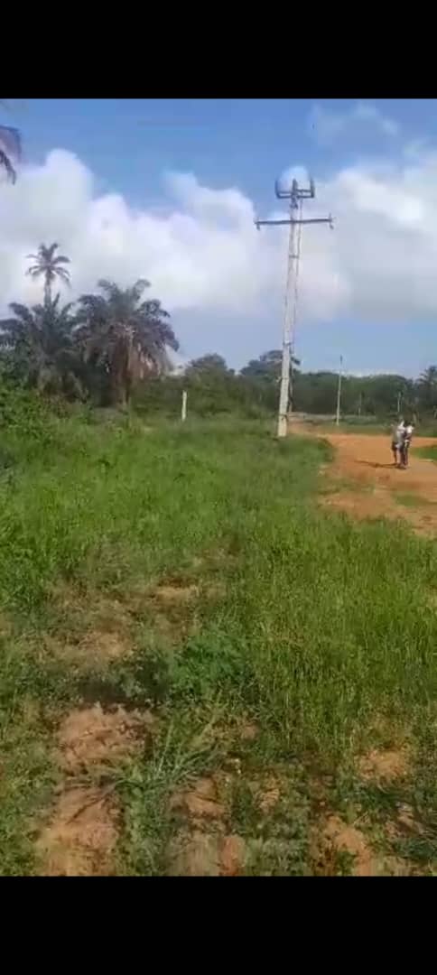 TERRENO VICINO ALLA CITTÀ DI ADDOHA IN VENDITA