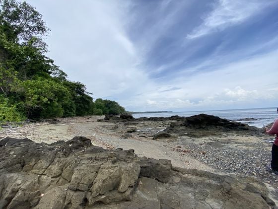 8 Hectares Beachfront Lot For Sale – Titled & Along Highway