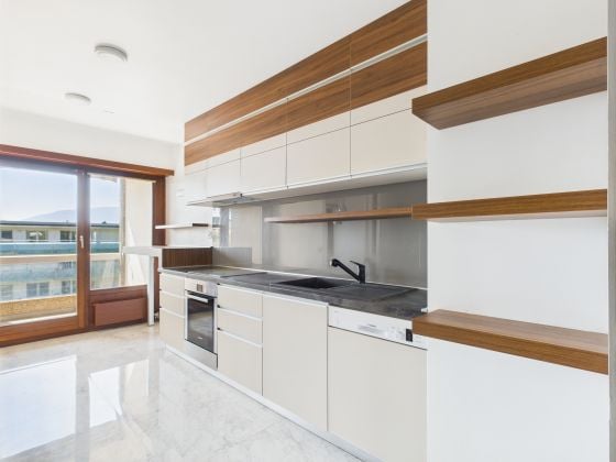 BRIGHT 5-ROOM APARTMENT NEAR INTERNATIONAL ORGANIZATIONS