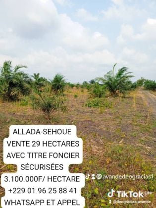 29 HECTARES HECTARES ALLADA-SEHOUE VENTE AVEC TITRE FONCIER ...