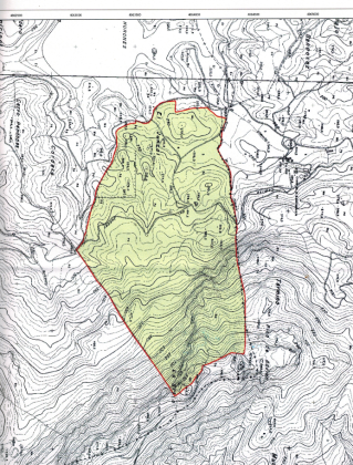 573 Acres with Farmhouse for Sale – Andalusia, Spain 