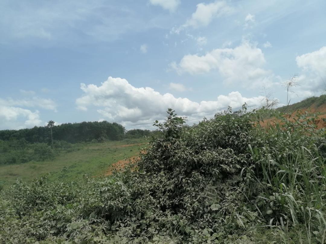 VENTE DE PARCELLE DE TERRAIN A ATINGUIE AUTOROUTE DU NORD 50 000 m2