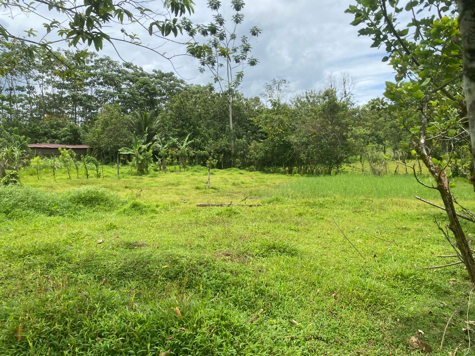 Lot for sale – 1,700 m² in Río Frío, Sarapiquí, Costa Rica