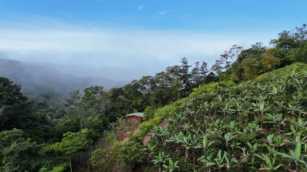 Donde nace el agua: un paraíso escondido con un arroyo vibrante y ...