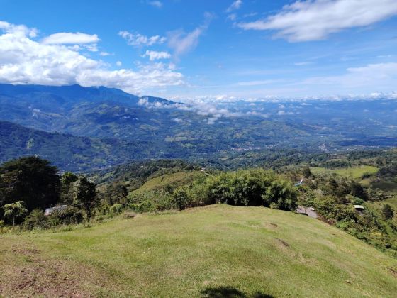 Donde el Bosque Respira - 147.762 M² de Vida, Amor, Visión y ...