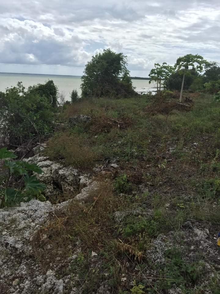 Beach Plot for Sale in Michamvi, Zanzibar, Tanzania 