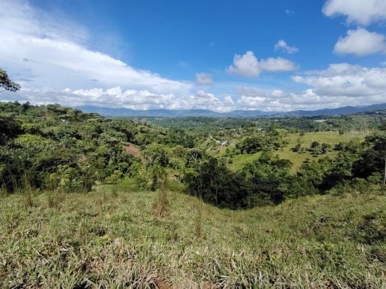 Finca pintoresca de 4 hectáreas en venta con arroyos y hermosas ...