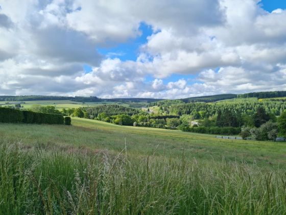 6970 Ortheuville : Terrain à bâtir, 14a 79ca.